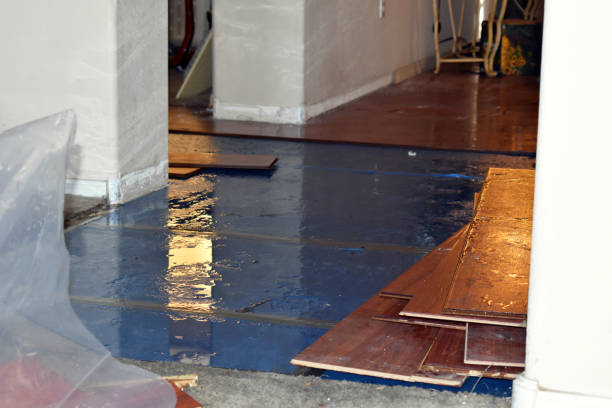 Professional Burst Pipe Cleanup technician working in Gorham, NH